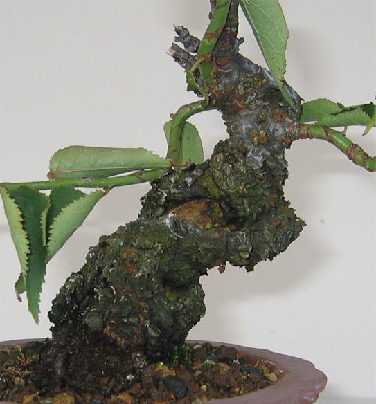 image211.jpg image211.jpg