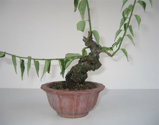 image51.jpg