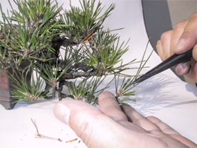 image131.jpg